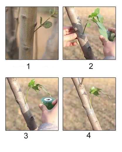 Nastro innesti piante autoadesivo biodegradabile - film giardinaggio