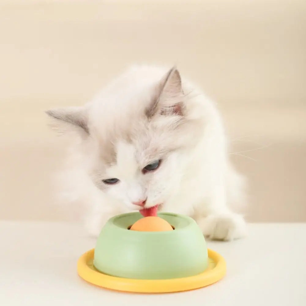 Gioco Interattivo Piatto Lecca Yogurt per Cani e Gatti - Igiene Dentale