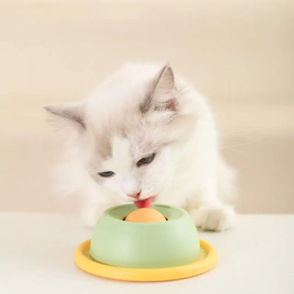Gioco Interattivo Piatto Lecca Yogurt per Cani e Gatti - Igiene Dentale