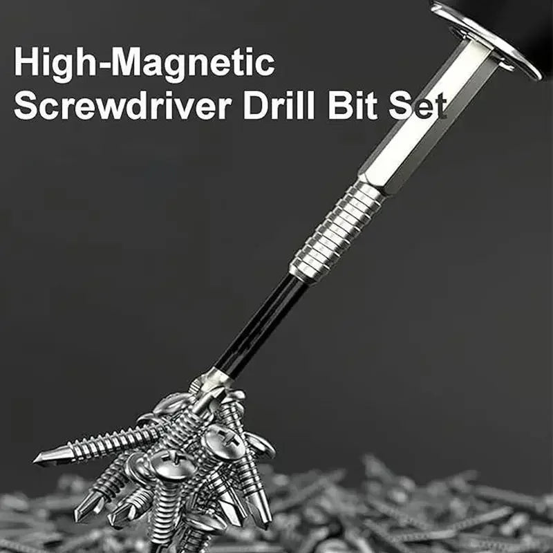 Set Punte Magnetiche PH Croce per Avvitatore Elettrico in Acciaio