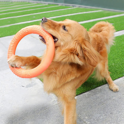 Frisbee Disco per Cani Resistente EVA Arancione - Gioco Addestramento