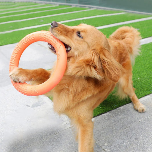 Frisbee Disco per Cani Resistente EVA Arancione - Gioco Addestramento