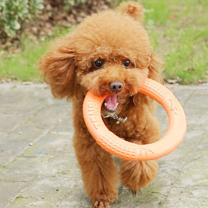 Frisbee Disco per Cani Resistente EVA Arancione - Gioco Addestramento
