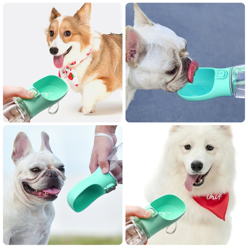 Borraccia ciotola portatile acqua per cani e gatti antigoccia da viaggio