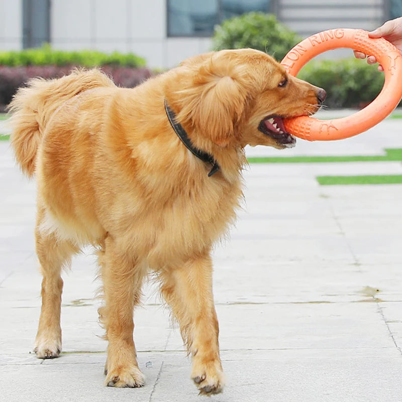 Frisbee Disco per Cani Resistente EVA Arancione - Gioco Addestramento