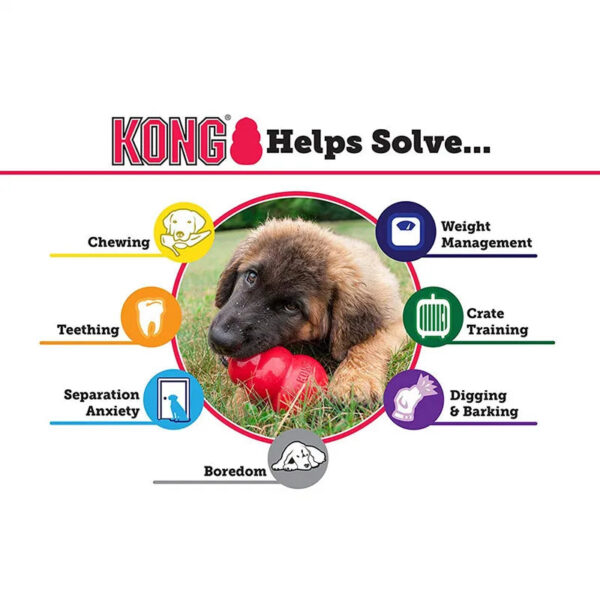 H5e4e0061c6ab4a20813c77f527704fa3a KONG Cuccioli Gioco per Dentizione Gomma Naturale Masticare con Snack XS-L