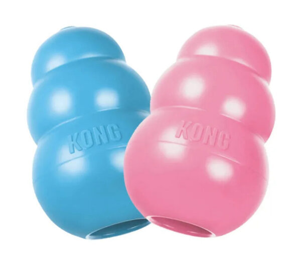 Hcaf52f1507ba40d989e22df7bc7a9d3en KONG Cuccioli Gioco per Dentizione Gomma Naturale Masticare con Snack XS-L