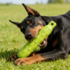Gioco da masticare cane indistruttibile EVA Taglia L pulizia denti antimorso Gioco da masticare cane indistruttibile EVA Taglia L pulizia denti antimorso