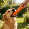 S1ad39488410545ed9564325bed44a1aaW Gioco da masticare cane indistruttibile EVA Taglia L pulizia denti antimorso