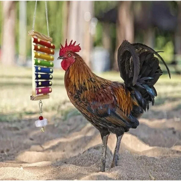 Xilofono giocattolo sonoro per pappagalli, inseparabili e uccelli - accessorio gabbia