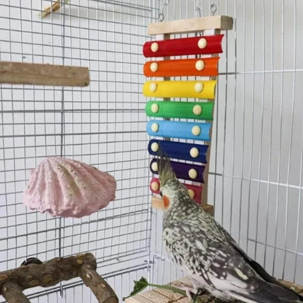 Xilofono giocattolo sonoro per pappagalli, inseparabili e uccelli - accessorio gabbia