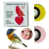 Fischietto Richiamo Uccelli Magico Linguetta Cinguettio Gioco Scherzo Regalo